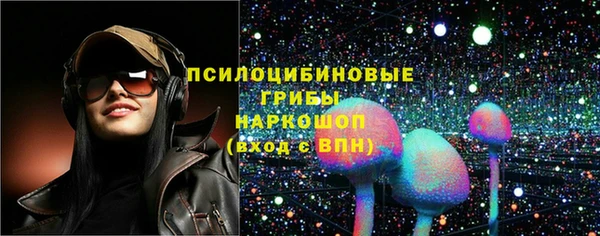 индика Приозерск