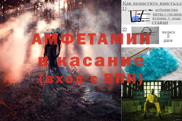 трава Алексеевка