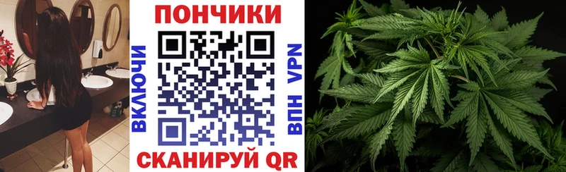 купить наркотик  Зуевка  Каннабис THC 21% 